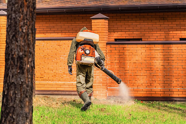 Trusted Termite Control service in Lightstreet, PA - Nex Pest Control